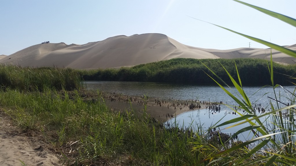 secret oasis