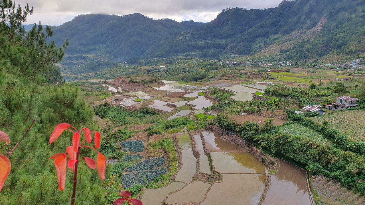 Reisterrassen bei Banaue